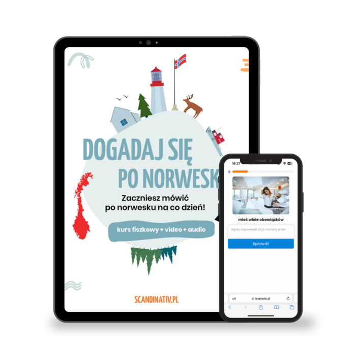 Kurs fiszkowy "Dogadaj się po norwesku"