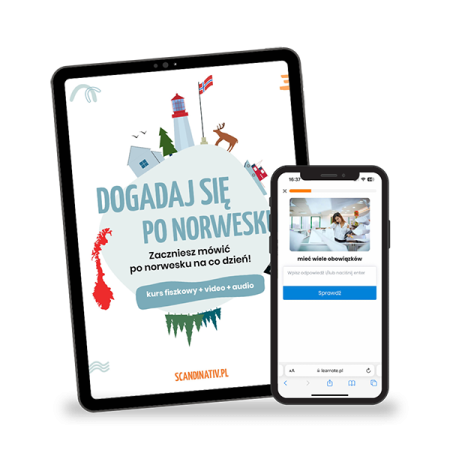 dogadaj-sie-po-norwesku-kusz-fiszkowy